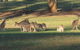 Savernake Farmstay - thumb 8