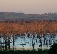 Salisbury - Melbourne Tourism