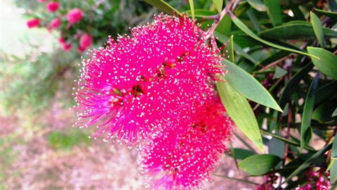 Sweetwater Stays Rural Retreat - Melbourne Tourism 4