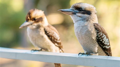 Serenity Halls Gap: Nat Park Frontage - Melbourne Tourism 6