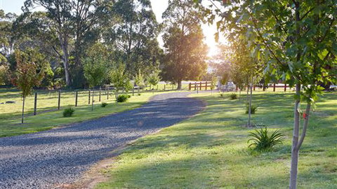 Neerim Chateau - Melbourne Tourism 6