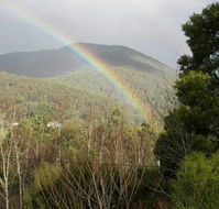 Wattletree Cottage - Melbourne Tourism