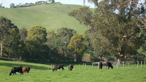 Whitelaw's Rest - Melbourne Tourism 0
