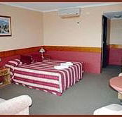 Winsor Park Motor Inn - Melbourne Tourism