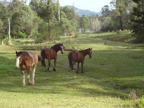 Amamoor Lodge - Melbourne Tourism 2