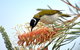 Amamoor Lodge - thumb 7