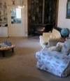 Arcady Homestead - Melbourne Tourism 2