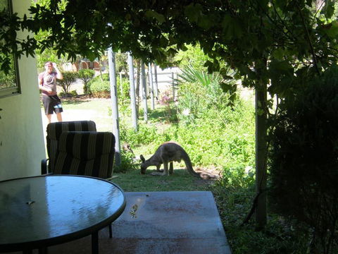 Tim's Place - Melbourne Tourism 2