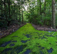 Booderee National Park Green Patch Camping Area - Melbourne Tourism