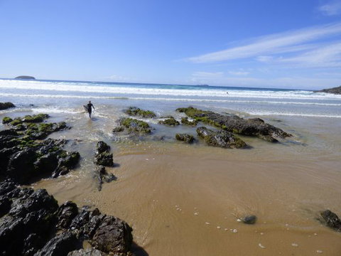 ArtHOUSE Beachfront Accommodation - Melbourne Tourism 7