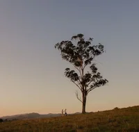 Faulls Ridge Winery - Melbourne Tourism