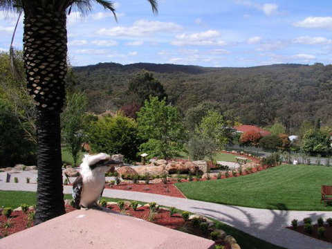 Grange Bellinzona - Melbourne Tourism 4