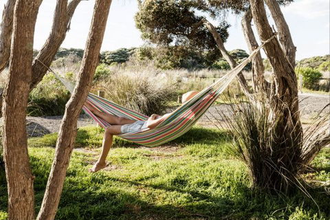 Anglesea Family Caravan Park - Melbourne Tourism 1