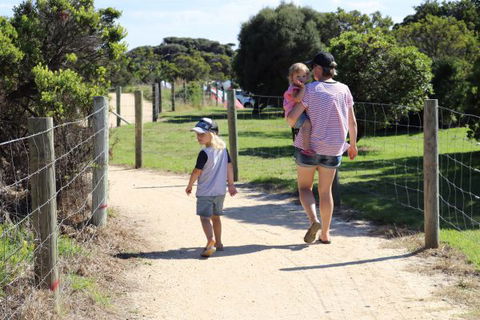 Anglesea Family Caravan Park - Melbourne Tourism 4