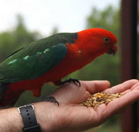 Barrington Tops Escapes - Melbourne Tourism