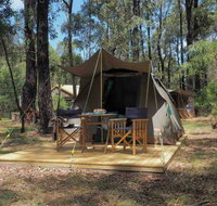 Tall Trees Camping on the Great Ocean Road - Melbourne Tourism