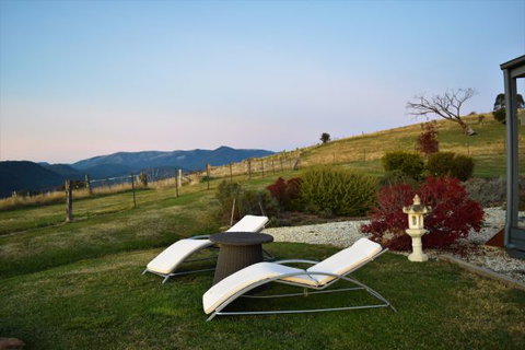 Wild Dog Rise - Melbourne Tourism 8
