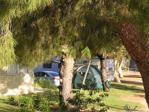 Barmera North Lake Caravan Park - Melbourne Tourism 0