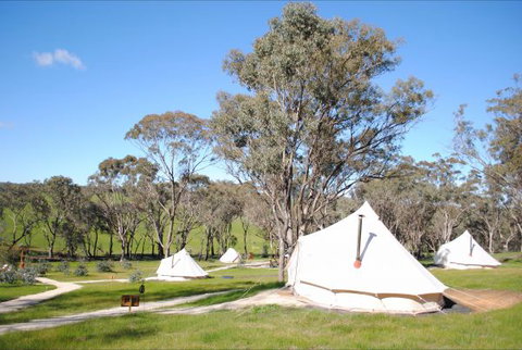 Cosy Tents - Melbourne Tourism 5