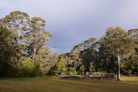 Fernhill Chestnut Farm - Melbourne Tourism 2