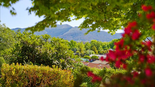 Abbeyard VIC Melbourne Tourism