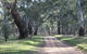 Hughes Park Cottage & Weddings - thumb 2