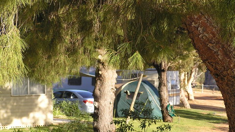 Barmera North Lake Caravan Park - Melbourne Tourism 4