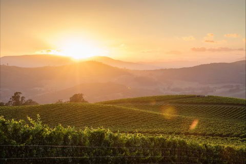 Mt Bellevue Lodge - King Valley - Melbourne Tourism 1