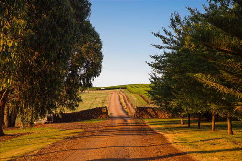 Mt Bellevue Lodge - King Valley - Melbourne Tourism 3