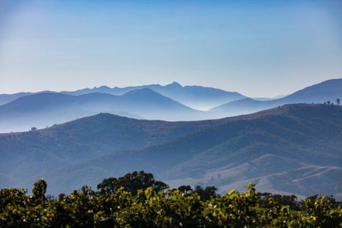 Mt Bellevue Lodge - King Valley - Melbourne Tourism 4