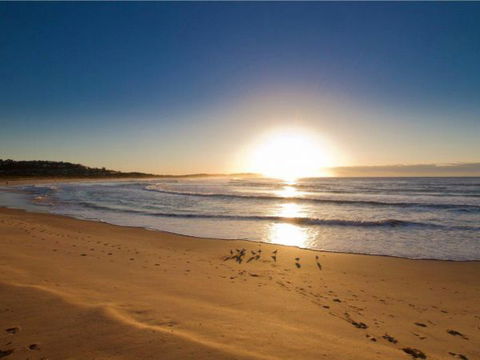 Oaks Apartment At Dee Why Beach - Melbourne Tourism 0
