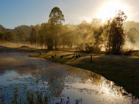 Ramada Resort Kooralbyn Valley - Melbourne Tourism 6