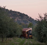 Shacky in the Olive Grove - Melbourne Tourism