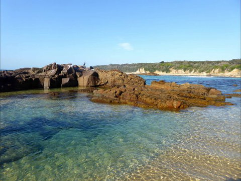 Tilba Coastal Retreat - Melbourne Tourism 6