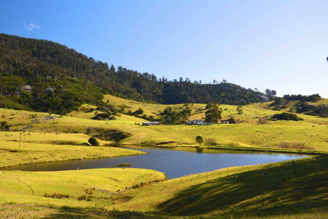 Tilba Coastal Retreat - Melbourne Tourism 7