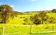 Tilba Coastal Retreat - thumb 9