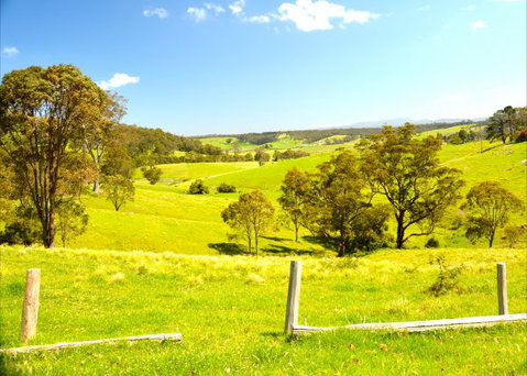 Tilba Coastal Retreat - Melbourne Tourism 9