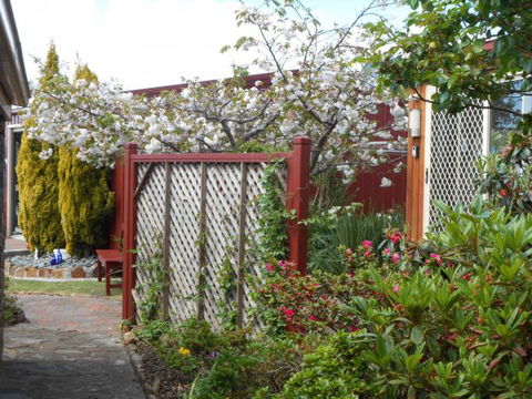 Tidelines Of Bicheno - Melbourne Tourism 9