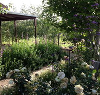 Wandana Bed and Breakfast - Melbourne Tourism