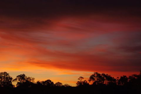 Yalooka Farm - Melbourne Tourism 5