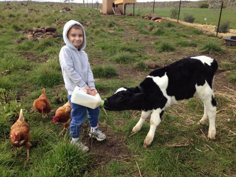 Yalooka Farm - Melbourne Tourism 8