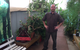 Medicine Tree NT Chinese Medicine - thumb 2