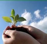 Vital Spirit Natural Health - Melbourne Tourism
