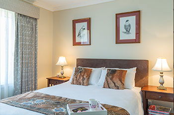 Austin Rise B&B - Melbourne Tourism 1