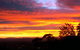 Avocado Sunset Bed & Breakfast - thumb 7