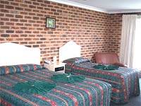 Big Trout Motor Inn - Melbourne Tourism 3