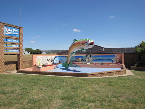Big Trout Motor Inn - Melbourne Tourism 7