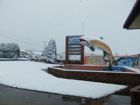 Big Trout Motor Inn - Melbourne Tourism 11