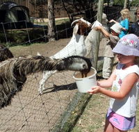 BIG4 Bairnsdale Holiday Park - Melbourne Tourism