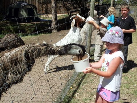 BIG4 Bairnsdale Holiday Park - Melbourne Tourism 0